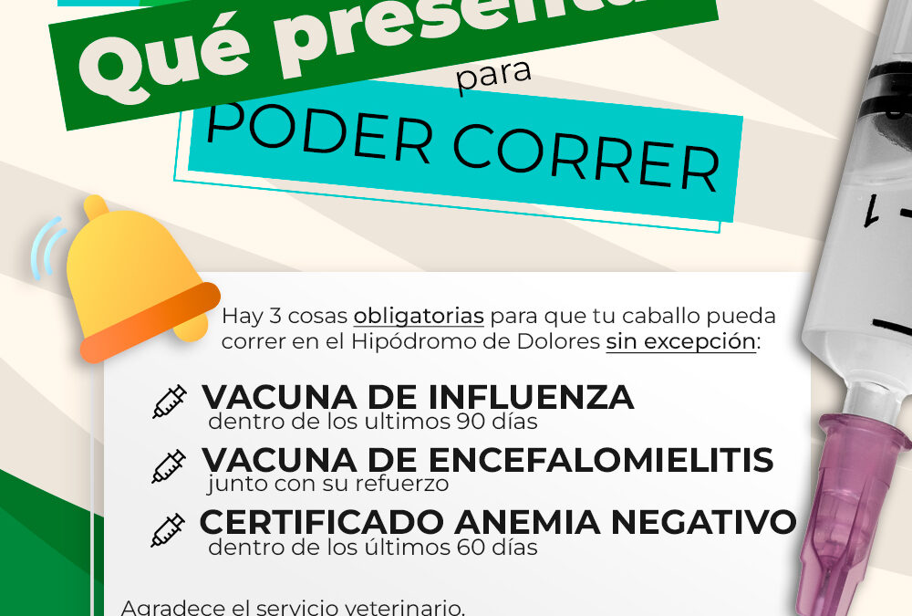 AUMENTO BONO DOLORES 2026